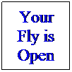 Text Box: Your Fly is Open
